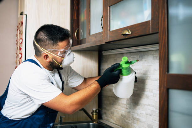 Reliable Woodmere, NY Pest Control Solutions