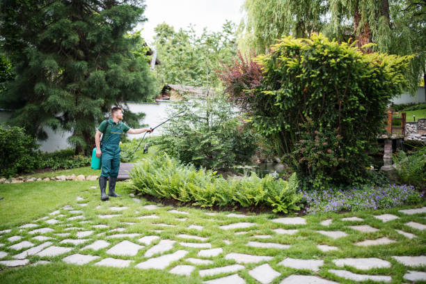 Wasp Removal Services in Woodmere, NY