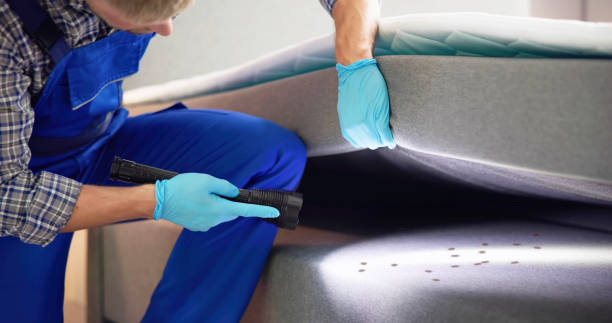 Best Pest Control Near Me  in Woodmere, NY